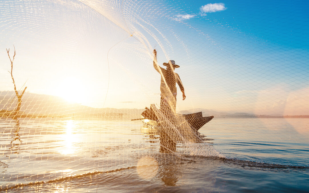 El futuro del camarón: cómo producir de manera sostenible sin sacrificar rentabilidad