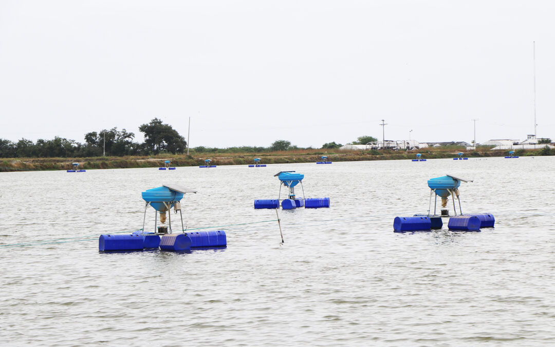 Factores ambientales modulan el comportamiento alimentario de Penaeus vannamei: Perspectivas del monitoreo acústico pasivo