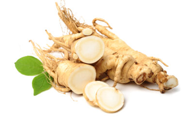 Efectos del Panax ginseng en la mejora del crecimiento, la inmunidad innata y el perfil microbiano en Penaeus vannamei