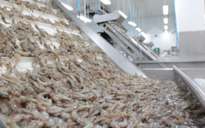 Competitividad: la tarea pendiente