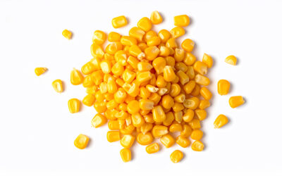 El uso de proteína de maíz fermentada como fuente complementaria de proteína junto con harina de soja en dietas prácticas para la producción de camarón blanco del Pacífico