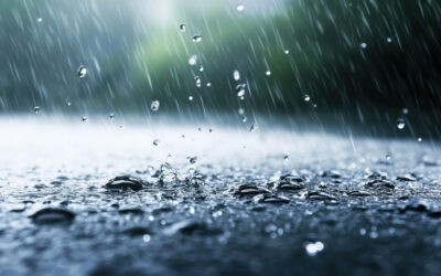 Predicción climática para la costa ecuatoriana durante el período enero–abril de 2026 y su relevancia para la industria camaronera