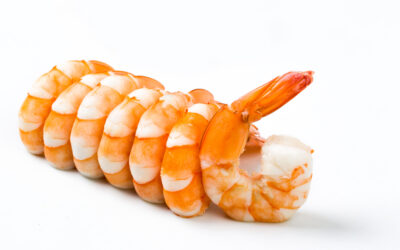 Ecuador alimenta al mundo con su camarón, considerado una superproteína