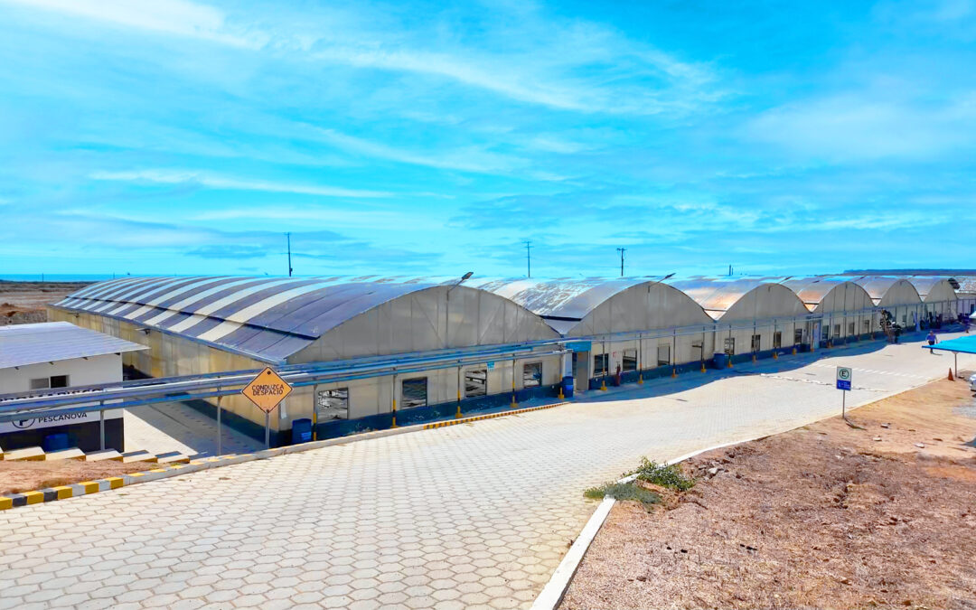 AIRE Y AGUA BAJO CONTROL: EL EQUILIBRIO INDISPENSABLE EN LARVICULTURA