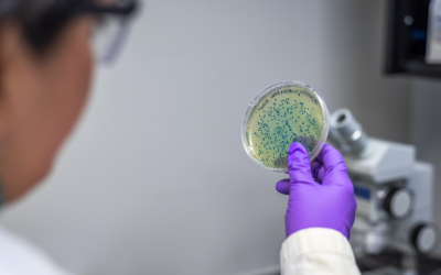Efectos de factores ambientales en el crecimiento y la biosíntesis de toxinas VTc en Vibrio parahaemolyticus asociado con una enfermedad del camarón