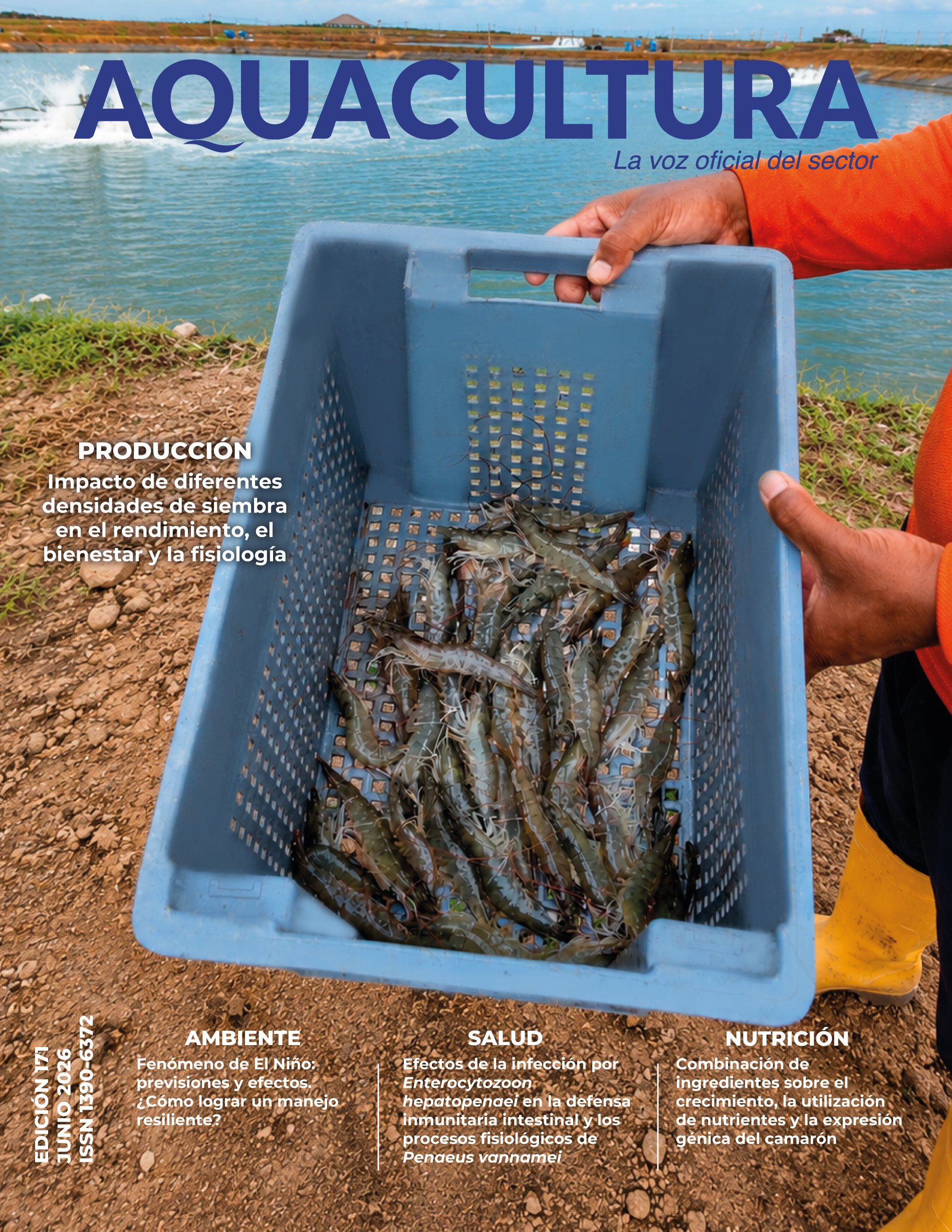 PORTADA-FINAL-171_edit