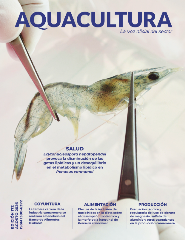 revista 172